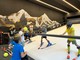 Albatros Indoor Ski, si scia a Ponderano: open day gratuito per i bambini delle elementari Albatros Indoor Ski, si scia a Ponderano: open day gratuito per i bambini delle elementari