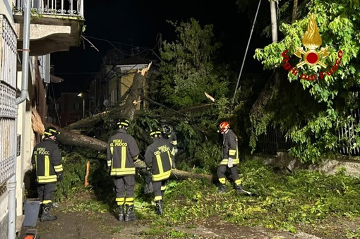 Dal nord ovest: Violento temporale nell'Alessandrino, numerosi interventi dei Vigili del Fuoco nella notte Dal nord ovest: Violento temporale nell'Alessandrino, numerosi interventi dei Vigili del Fuoco nella notte