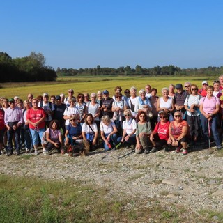 auser cossato auser cossato