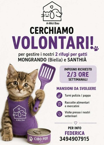 A-Mici Bau cerca volontari, e tu cosa aspetti? A-Mici Bau cerca volontari, e tu cosa aspetti?