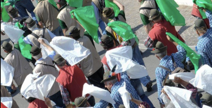 Centro storico di Genova, barattoli di vetro lanciati da una finestra contro gli Alpini seduti in un bar