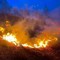 Bagliori di fiamme e fumo dal Tracciolino, diverse chiamate e segnalazioni ai Vigili del Fuoco (foto di repertorio) Bagliori di fiamme e fumo dal Tracciolino, diverse chiamate e segnalazioni ai Vigili del Fuoco (foto di repertorio)
