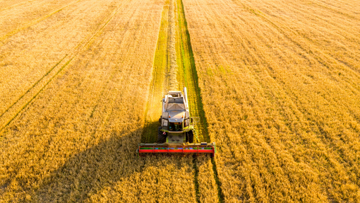 Agricoltura piemontese in affanno: in cinque anni scompare un'azienda su cinque