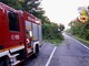 Pianta sulla strada, Vigili del Fuoco in azione sulla Settimo Vittone (foto di repertorio)