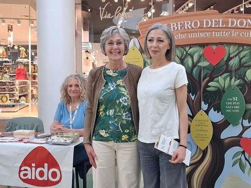 “L’albero del dono" a Biella, un gesto che unisce tutte le culture