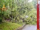 Intense raffiche di vento in alta Valle Elvo, alberi caduti sulla strada (foto di repertorio)