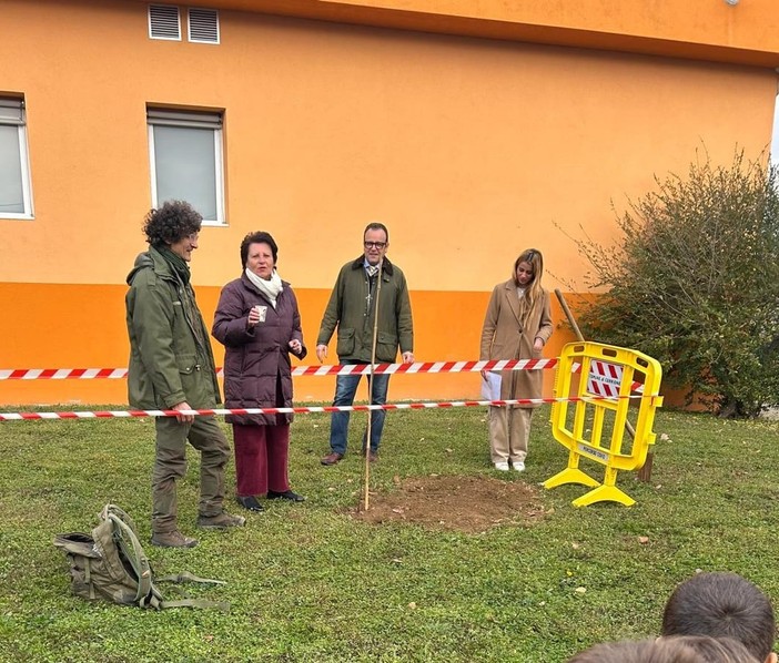 festa alberi festa alberi