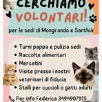 A-Mici Bau: "Cerchiamo volontari per le sedi di Mongrando e Santhià"