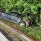 Super, incidente all'uscita di Vigliano, auto finisce nel fosso FOTO Davide Finatti per newsbiella.it Super, incidente all'uscita di Vigliano, auto finisce nel fosso FOTO Davide Finatti per newsbiella.it