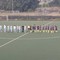 ACF Biellese travolgente: sette reti alla Mappanese, ora sarà finale di Coppa Italia Promozione con Villastellone