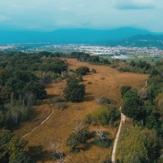 Un'escursione nella "savana piemontese": alla scoperta delle baragge biellesi