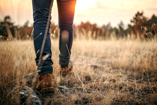 Camminata solidale in Baraggia con “Fitwalking For AIL” Camminata solidale in Baraggia con “Fitwalking For AIL”