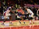 basket