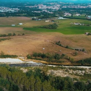 I colori estivi delle baragge biellesi: un'escursione nella "savana piemontese"