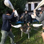 La tradizione rivive a Bagneri: battitura delle castagne a Cascina Nisina - Foto di Alberto Barbera La tradizione rivive a Bagneri: battitura delle castagne a Cascina Nisina - Foto di Alberto Barbera