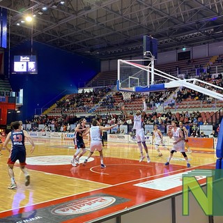 basket biella