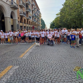 In 230 alla partenza de "Il Biellese di corsa" a Biella, foto e video Mattia Baù per newsbiella.it In 230 alla partenza de "Il Biellese di corsa" a Biella, foto e video Mattia Baù per newsbiella.it