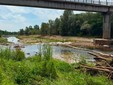 Borriana, il Comune interviene per la messa in sicurezza del torrente Elvo Borriana, il Comune interviene per la messa in sicurezza del torrente Elvo