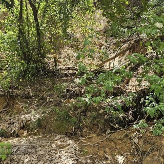 Biella, frana, alberi caduti e staccionata divelta alla Bertamelina: sarà messa in sicurezza Biella, frana, alberi caduti e staccionata divelta alla Bertamelina: sarà messa in sicurezza