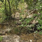 Biella, frana, alberi caduti e staccionata divelta alla Bertamelina: sarà messa in sicurezza Biella, frana, alberi caduti e staccionata divelta alla Bertamelina: sarà messa in sicurezza