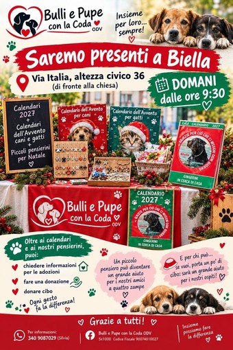 Bulli e Pupe con la Coda ODV domani in via Italia a Biella con calendari, regali solidali e tante informazioni per aiutare gli animali Bulli e Pupe con la Coda ODV domani in via Italia a Biella con calendari, regali solidali e tante informazioni per aiutare gli animali