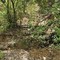 Biella, frana, alberi caduti e staccionata divelta alla Bertamelina: sarà messa in sicurezza Biella, frana, alberi caduti e staccionata divelta alla Bertamelina: sarà messa in sicurezza