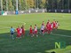 calcio biellese calcio biellese
