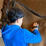 uomo cavallo uomo cavallo