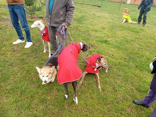 Mongrando Domani: "Rivogliamo il Bau Park"