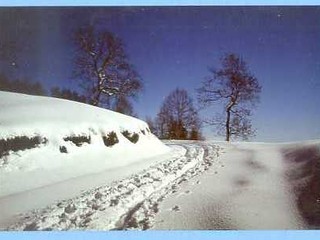 Burcina, tra rododendri e ricordi, dietro l'obiettivo del fotografo Marchisotti FOTO copyright Roberto Marchisotti