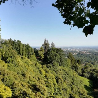 Foliage: a spasso tra i colori dell'autunno. Appuntamenti a Oropa e al Parco Burcina
