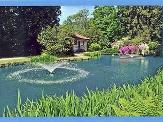 Burcina, tra rododendri e ricordi, dietro l'obiettivo del fotografo Marchisotti FOTO copyright Roberto Marchisotti