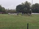 Calcio femminile, l’ACF Biellese trova il pari allo scadere con l’Alessandria Calcio femminile, l’ACF Biellese trova il pari allo scadere con l’Alessandria