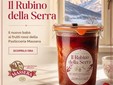 Pasticceria Massera presenta “Il Rubino della Serra”, il nuovo Babà ai frutti rossi Pasticceria Massera presenta “Il Rubino della Serra”, il nuovo Babà ai frutti rossi