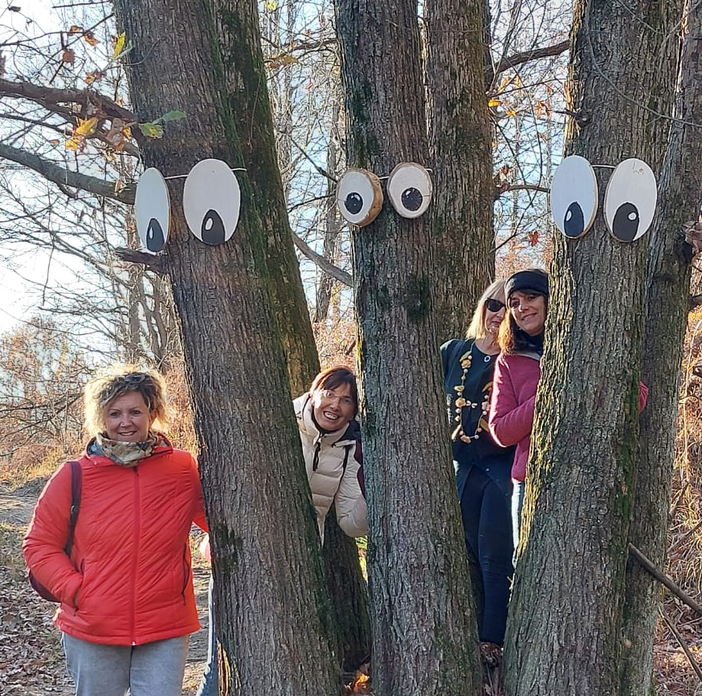 casapinta bosco casapinta bosco