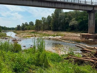 Borriana, il Comune interviene per la messa in sicurezza del torrente Elvo Borriana, il Comune interviene per la messa in sicurezza del torrente Elvo