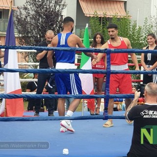 boxe viverone