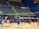 Prima Giornata Bear Wool Volley 2026, i risultati FOTO e VIDEO Mattia Baù per newsbiella.it
