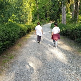 Foliage nel parco Burcina: subito esaurite le prime due date