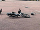 Bike sharing a Biella, l’appello della Lega contro vandalismo e abusi: "Si risalga ai responsabili tramite le app" (foto di repertorio)