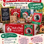 Bulli e Pupe con la Coda ODV domani in via Italia a Biella con calendari, regali solidali e tante informazioni per aiutare gli animali Bulli e Pupe con la Coda ODV domani in via Italia a Biella con calendari, regali solidali e tante informazioni per aiutare gli animali