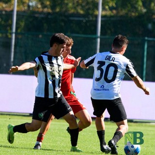 calcio biellese