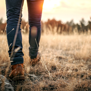 Camminata solidale in Baraggia con “Fitwalking For AIL”