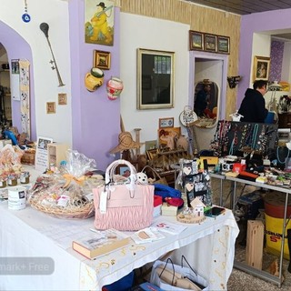 Charity Shop in festa a Mongrando: una giornata di solidarietà, a sostegno agli animali - Foto di Mattia Baù