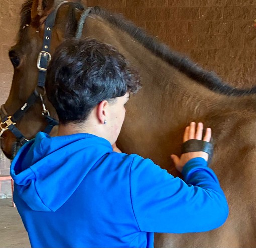 uomo cavallo uomo cavallo