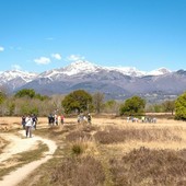 Crisi idrica, il Consorzio Baraggia rilancia: “Serve aumentare la capacità degli invasi” - Foto di repertorio
