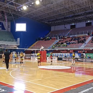A Biella torna il “Bear Wool Volley 2024” A Biella torna il “Bear Wool Volley 2024”