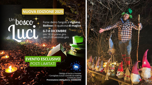 Torna a Vigliano “Un Bosco di Luci”: percorso incantato con Marco Macchieraldo - Fotografie dell'edizione 2024 Torna a Vigliano “Un Bosco di Luci”: percorso incantato con Marco Macchieraldo - Fotografie dell'edizione 2024