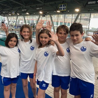 biella nuoto biella nuoto