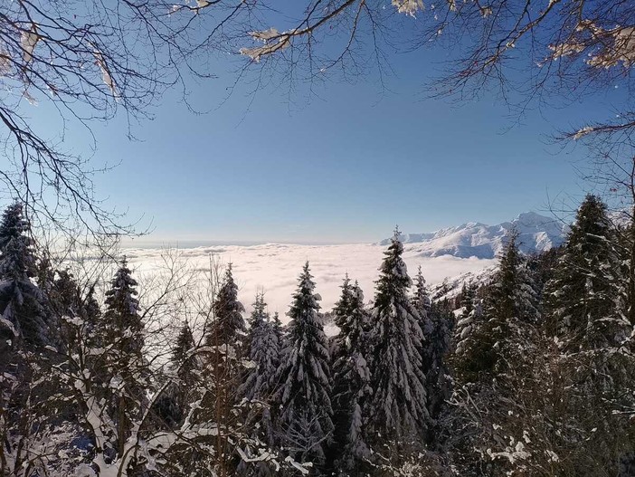 bielmonte neve
